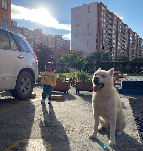 Luis Alonso Photo 50