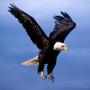 Bill Noble Photo 47