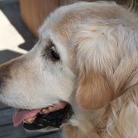 Sue Robison Photo 4