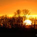 Allen Green Photo 26