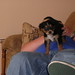Jimmy Jenkins Photo 15