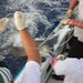 Marlin Sharp Photo 13