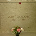 Dorothy Graves Photo 12