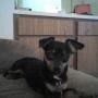 Bruce Bruce Photo 27