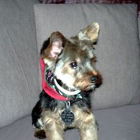 Jill Spaulding Photo 5