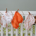 Martha Ross Photo 12