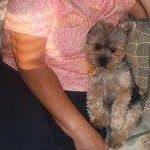 Sandy Saenz Photo 12