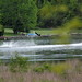 Mike Maynard Photo 30
