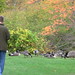 Terry Forest Photo 12