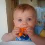 Robert Senn Photo 11