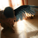 Donna Wing Photo 20