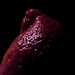 David Citron Photo 10