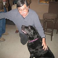 John Harwood Photo 15