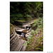 Glen Cox Photo 31