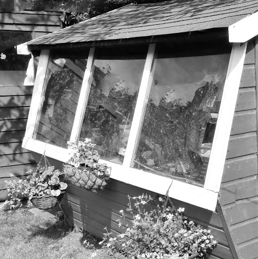 Tom Simms Photo 4