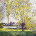 Mary Corcoran Photo 34