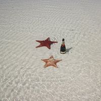 Annette Beach Photo 10
