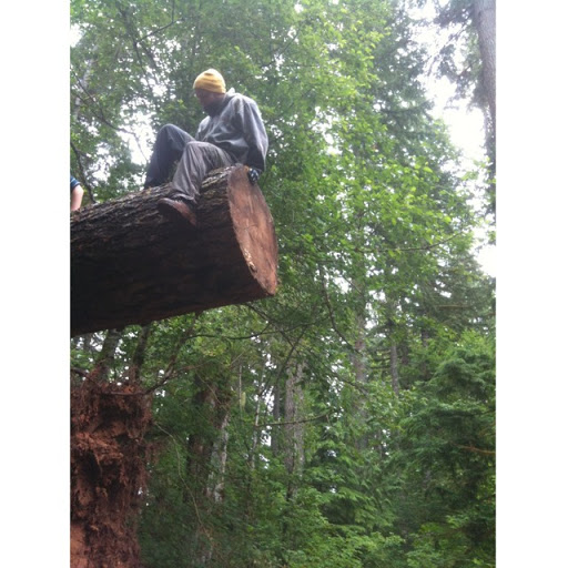 Chris Krebs Photo 10