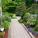Cheryl Birch Photo 26