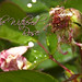 Teresa Withers Photo 18