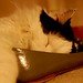 Ann Day Photo 30