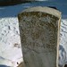 Thomas Fleming Photo 30