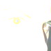 Mohamed Mostafa Photo 31