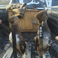Tyler Adams Photo 31