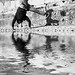 Francesco Vitiello Photo 4
