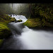Randall Wyatt Photo 4