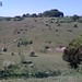Catherine Downs Photo 24