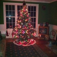 Theresa Laws Photo 3