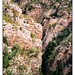 Paul Sauer Photo 19