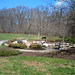 Ronald Rogers Photo 39