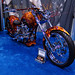 Robert Carroll Photo 20