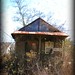 Sam Livingston Photo 30