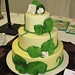 Rachel Larson Photo 36