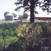 Frank Pruitt Photo 23
