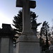 Mary Bull Photo 37