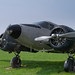 Marshall Brooks Photo 27