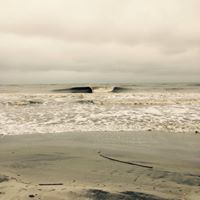 Andrea Abercrombie Photo 2