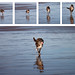 Larry Pace Photo 34