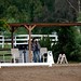 Theresa Reed Photo 36