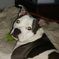 Kathy Hopkins Photo 22