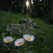 Mark Mccauley Photo 6