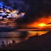 David Cremer Photo 4