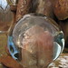 Greg Leavitt Photo 14