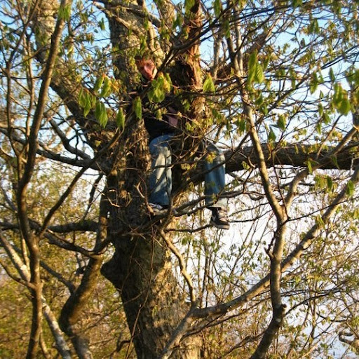 Paul Holmes Photo 16