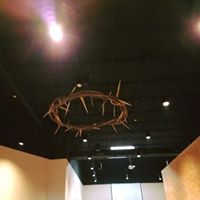Sara Shaner Photo 2