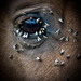 Paul Seus Photo 4